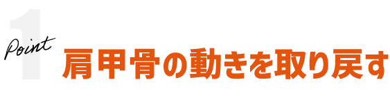 ポイント1：肩甲骨の動きを取り戻す